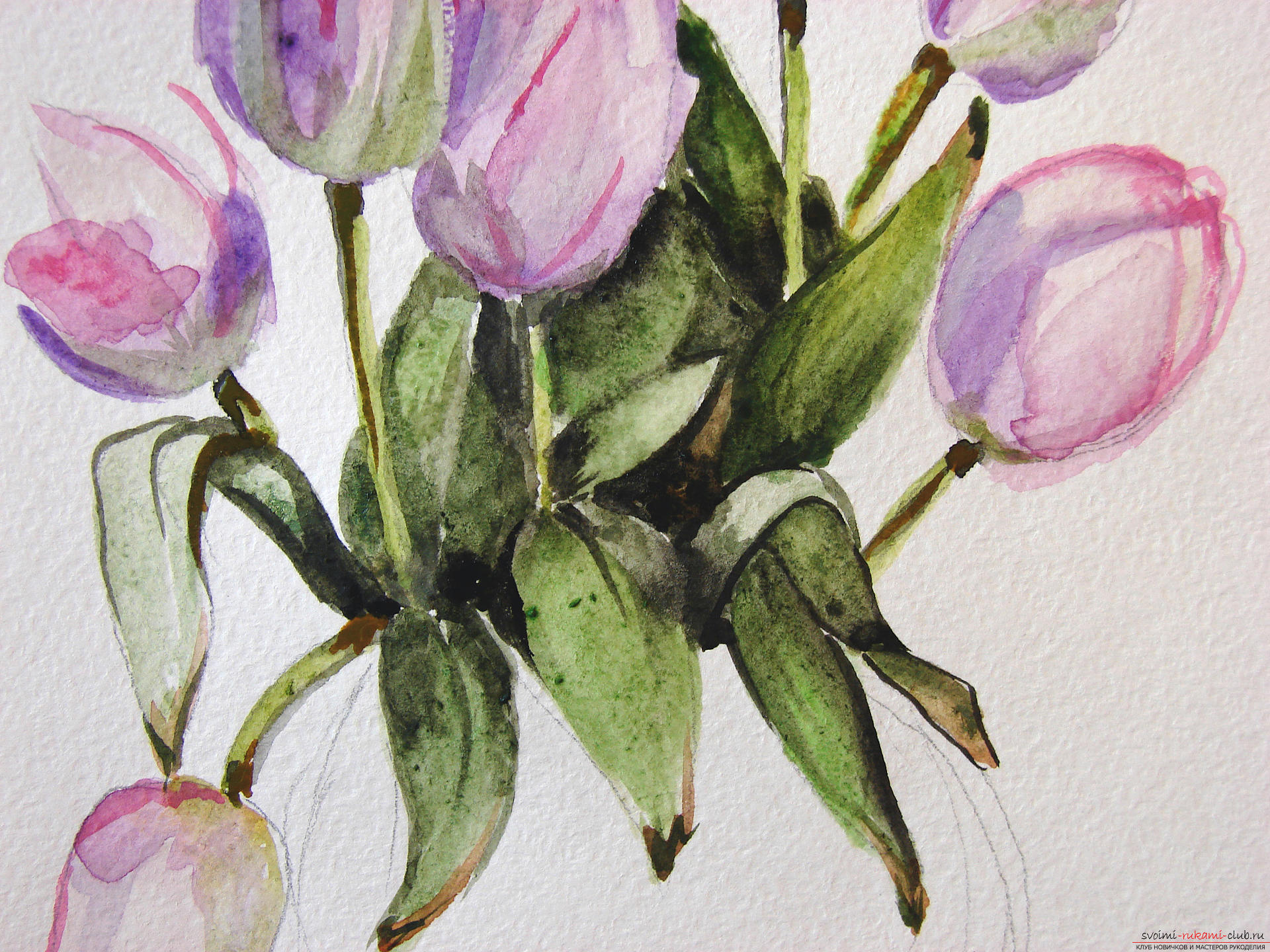 Мастер-класс по рисованию с фото научит как нарисовать цветы, подробно описав как рисуются тюльпаны поэтапно.. Фото №15